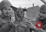 Image division italienne Italie, 1943, de la seconde 18 séquences d'archives historiques vidéo 65675024689