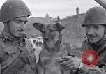 Image division italienne Italie, 1943, de la seconde 21 séquences d'archives historiques vidéo 65675024689