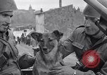 Image division italienne Italie, 1943, de la seconde 22 séquences d'archives historiques vidéo 65675024689