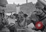 Image division italienne Italie, 1943, de la seconde 25 séquences d'archives historiques vidéo 65675024689