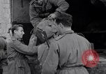 Image division italienne Italie, 1943, de la seconde 49 séquences d'archives historiques vidéo 65675024689