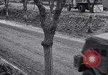 Image division italienne Italie, 1943, de la seconde 50 séquences d'archives historiques vidéo 65675024690