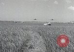 Image Périmètre de Pusan dans la guerre de Corée Corée, 1950, de la seconde 39 séquences d'archives historiques vidéo 65675024694