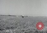 Image Périmètre de Pusan dans la guerre de Corée Corée, 1950, de la seconde 43 séquences d'archives historiques vidéo 65675024694