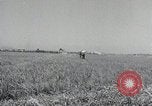 Image Périmètre de Pusan dans la guerre de Corée Corée, 1950, de la seconde 44 séquences d'archives historiques vidéo 65675024694