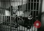 Image of drugs United States USA, 1966, second 16 stock footage video 65675024717