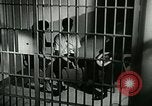 Image of drugs United States USA, 1966, second 17 stock footage video 65675024717