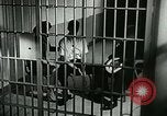 Image of drugs United States USA, 1966, second 18 stock footage video 65675024717