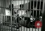 Standbild Drogensucht United States USA, 1966, aus Sekunde 8 historischem Filmmaterial Videoclip 65675024724