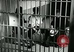 Standbild Drogensucht United States USA, 1966, aus Sekunde 10 historischem Filmmaterial Videoclip 65675024724