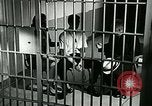 Standbild Drogensucht United States USA, 1966, aus Sekunde 11 historischem Filmmaterial Videoclip 65675024724