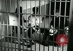 Standbild Drogensucht United States USA, 1966, aus Sekunde 15 historischem Filmmaterial Videoclip 65675024724