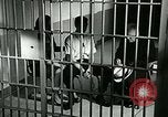 Standbild Drogensucht United States USA, 1966, aus Sekunde 19 historischem Filmmaterial Videoclip 65675024724