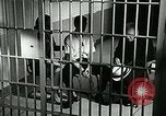 Standbild Drogensucht United States USA, 1966, aus Sekunde 20 historischem Filmmaterial Videoclip 65675024724