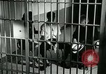 Standbild Drogensucht United States USA, 1966, aus Sekunde 29 historischem Filmmaterial Videoclip 65675024724