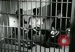 Standbild Drogensucht United States USA, 1966, aus Sekunde 30 historischem Filmmaterial Videoclip 65675024724