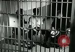 Standbild Drogensucht United States USA, 1966, aus Sekunde 32 historischem Filmmaterial Videoclip 65675024724