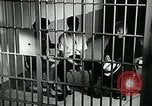Standbild Drogensucht United States USA, 1966, aus Sekunde 35 historischem Filmmaterial Videoclip 65675024724