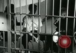 Standbild Drogensucht United States USA, 1966, aus Sekunde 42 historischem Filmmaterial Videoclip 65675024724