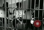 Standbild Drogensucht United States USA, 1966, aus Sekunde 48 historischem Filmmaterial Videoclip 65675024724