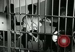 Standbild Drogensucht United States USA, 1966, aus Sekunde 58 historischem Filmmaterial Videoclip 65675024724
