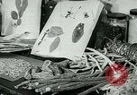Image of medical research laboratory Michigan United States USA, 1951, second 24 stock footage video 65675024726