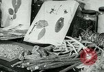 Image of medical research laboratory Michigan United States USA, 1951, second 25 stock footage video 65675024726