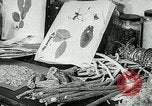 Image of medical research laboratory Michigan United States USA, 1951, second 26 stock footage video 65675024726