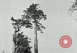 Image timber Oregon United States USA, 1951, de la seconde 11 séquences d'archives historiques vidéo 65675024730