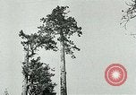 Image timber Oregon United States USA, 1951, de la seconde 12 séquences d'archives historiques vidéo 65675024730