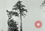 Image timber Oregon United States USA, 1951, de la seconde 13 séquences d'archives historiques vidéo 65675024730