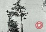 Image timber Oregon United States USA, 1951, de la seconde 14 séquences d'archives historiques vidéo 65675024730