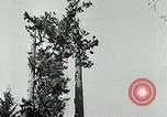 Image timber Oregon United States USA, 1951, de la seconde 15 séquences d'archives historiques vidéo 65675024730