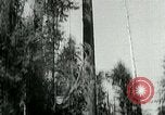 Image timber Oregon United States USA, 1951, de la seconde 17 séquences d'archives historiques vidéo 65675024730