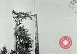 Image timber Oregon United States USA, 1951, de la seconde 21 séquences d'archives historiques vidéo 65675024730