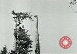 Image timber Oregon United States USA, 1951, de la seconde 23 séquences d'archives historiques vidéo 65675024730