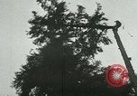 Image timber Oregon United States USA, 1951, de la seconde 26 séquences d'archives historiques vidéo 65675024730