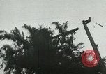 Image timber Oregon United States USA, 1951, de la seconde 27 séquences d'archives historiques vidéo 65675024730