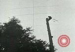 Image timber Oregon United States USA, 1951, de la seconde 33 séquences d'archives historiques vidéo 65675024730