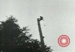 Image timber Oregon United States USA, 1951, de la seconde 34 séquences d'archives historiques vidéo 65675024730