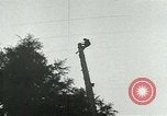 Image timber Oregon United States USA, 1951, de la seconde 35 séquences d'archives historiques vidéo 65675024730