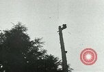 Image timber Oregon United States USA, 1951, de la seconde 36 séquences d'archives historiques vidéo 65675024730