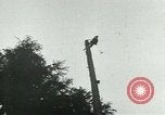 Image timber Oregon United States USA, 1951, de la seconde 37 séquences d'archives historiques vidéo 65675024730