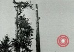 Image timber Oregon United States USA, 1951, de la seconde 41 séquences d'archives historiques vidéo 65675024730