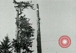 Image timber Oregon United States USA, 1951, de la seconde 42 séquences d'archives historiques vidéo 65675024730