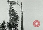 Image timber Oregon United States USA, 1951, de la seconde 43 séquences d'archives historiques vidéo 65675024730