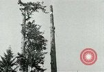 Image timber Oregon United States USA, 1951, de la seconde 44 séquences d'archives historiques vidéo 65675024730