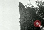 Image timber Oregon United States USA, 1951, de la seconde 45 séquences d'archives historiques vidéo 65675024730