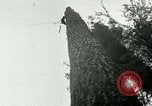 Image timber Oregon United States USA, 1951, de la seconde 46 séquences d'archives historiques vidéo 65675024730
