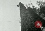 Image timber Oregon United States USA, 1951, de la seconde 47 séquences d'archives historiques vidéo 65675024730